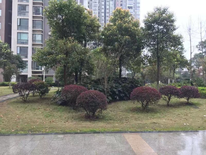 长沙开福区法拍房在哪里买 长沙市开福区极目楚天法拍房