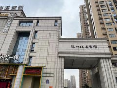 长沙岳麓区购买法拍房的地方 长沙凯特梅溪紫郡法拍房