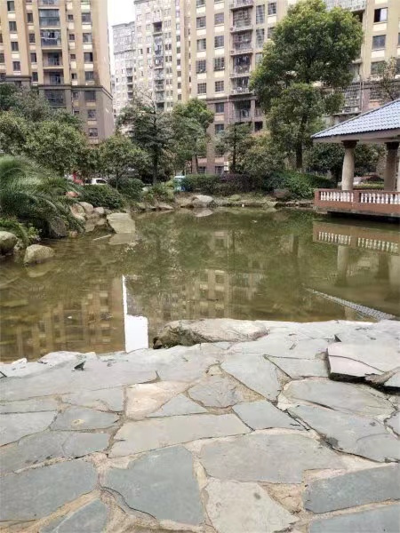长沙山水嘉园法拍房 长沙法拍房数量