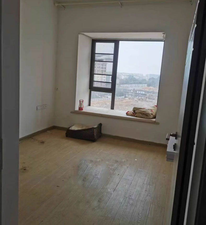 长沙绿地公馆法拍房最新消息 天心区法拍房多少套