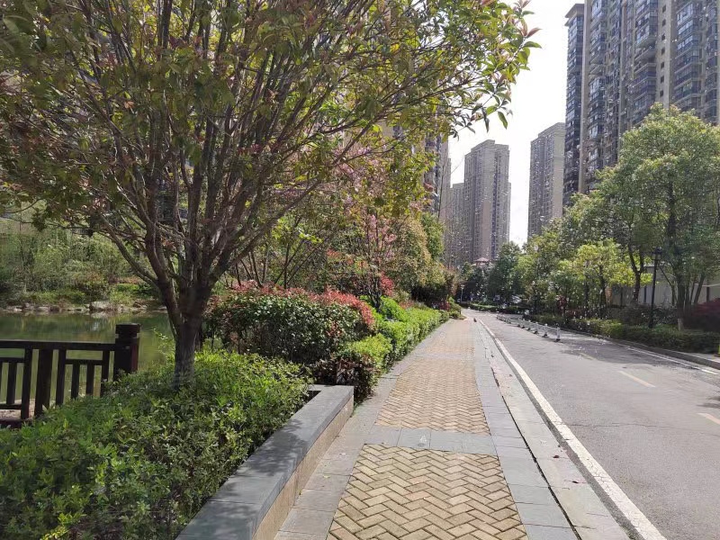 长沙岳麓区含浦法拍房最新消息 长沙岳麓区江山帝景法拍房