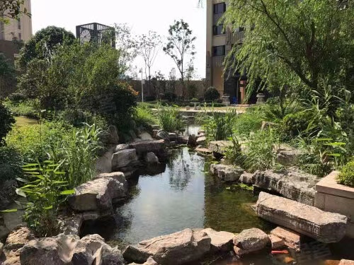 长沙长房半岛蓝湾法拍房 长沙小户型住宅法拍房最新消息