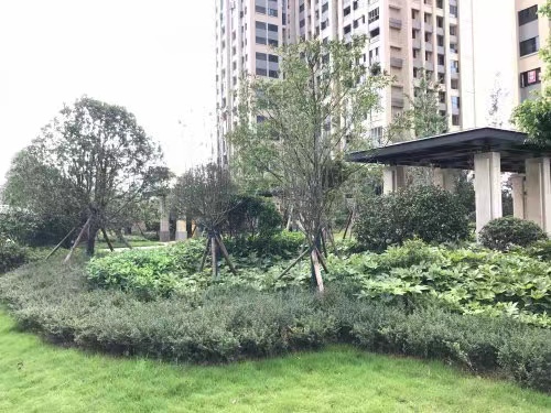 长沙长房半岛蓝湾法拍房 长沙小户型住宅法拍房最新消息