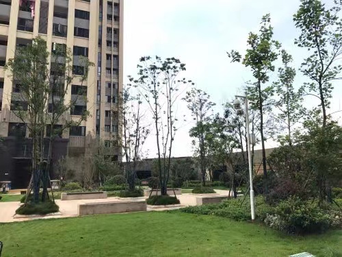 长沙长房半岛蓝湾法拍房 长沙小户型住宅法拍房最新消息
