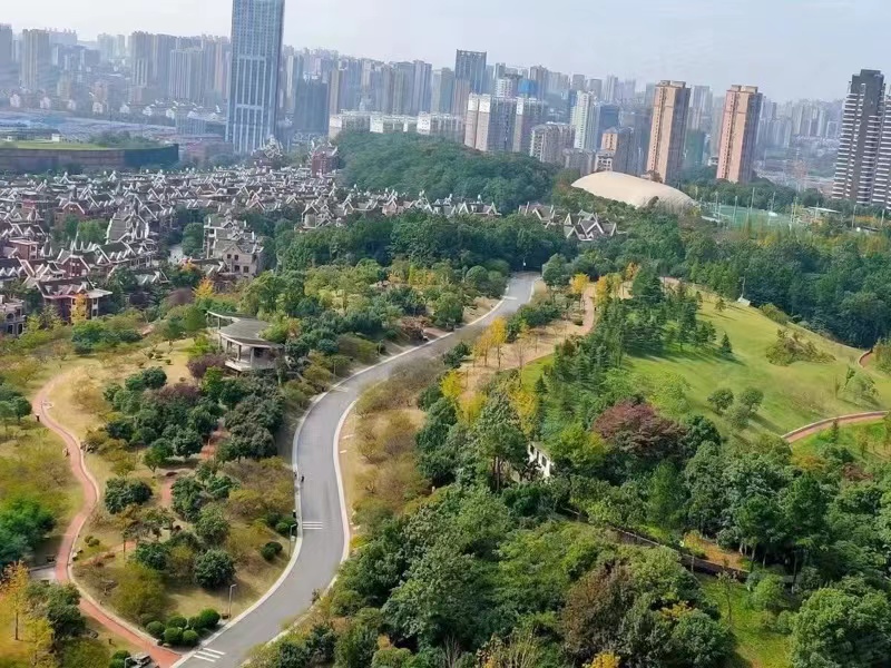 长沙雨花区京武浪琴山法拍房 长沙雨花区豪宅法拍房楼盘有哪些