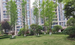 长沙市雨花区法拍房更新明昇壹城 长沙市雨花区法拍房购买平台有哪些