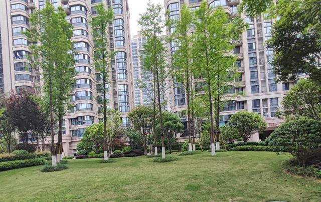 长沙市雨花区法拍房更新明昇壹城 长沙市雨花区法拍房购买平台有哪些