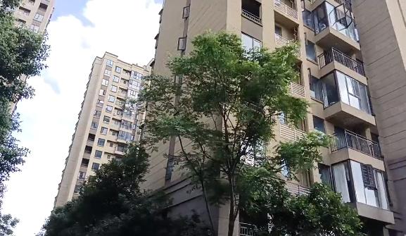 长沙望城区华润桃源里法拍房 望城区法拍房公示信息