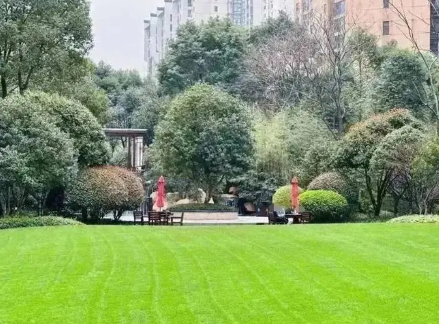 长沙雨花区豪宅法拍房最新消息新闻 运达中央广场豪宅法拍房