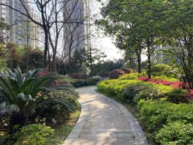 长沙湘江世纪城法拍房最新消息 长沙开福区江边法拍房最新消息