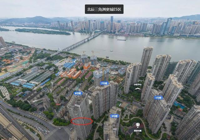 长沙开福区北辰三角洲法拍房 湖南北辰三角洲法拍房
