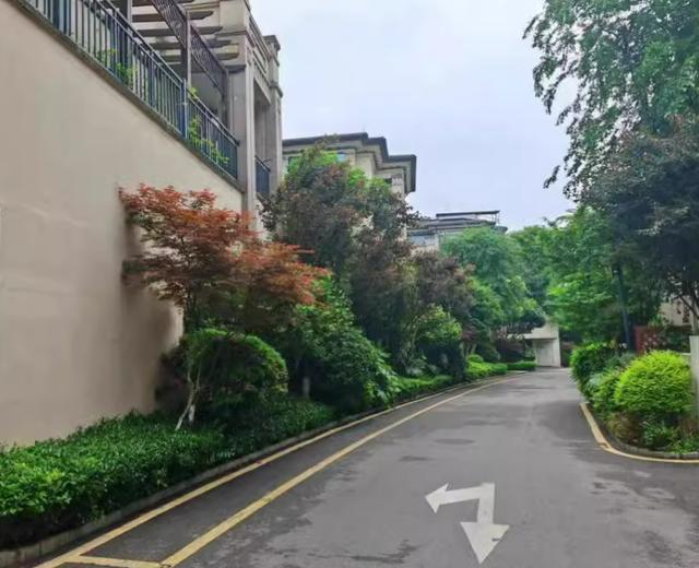 长沙龙湖湘风原著别墅法拍房 长沙龙湖别墅法拍房最新消息