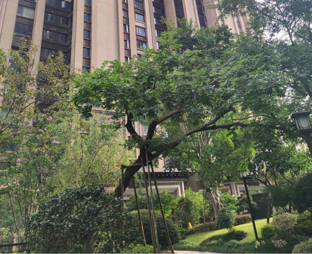 梅溪湖建发央著法拍房 梅溪湖法拍房房源