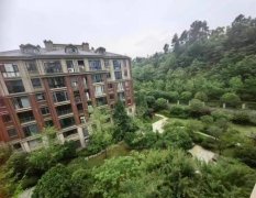 八方小区拍卖房最新消息 八方小区法拍价格