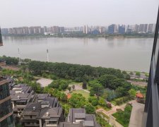 长沙湘江雅颂居法拍房最新消息 长沙湘江雅颂居法拍房信息