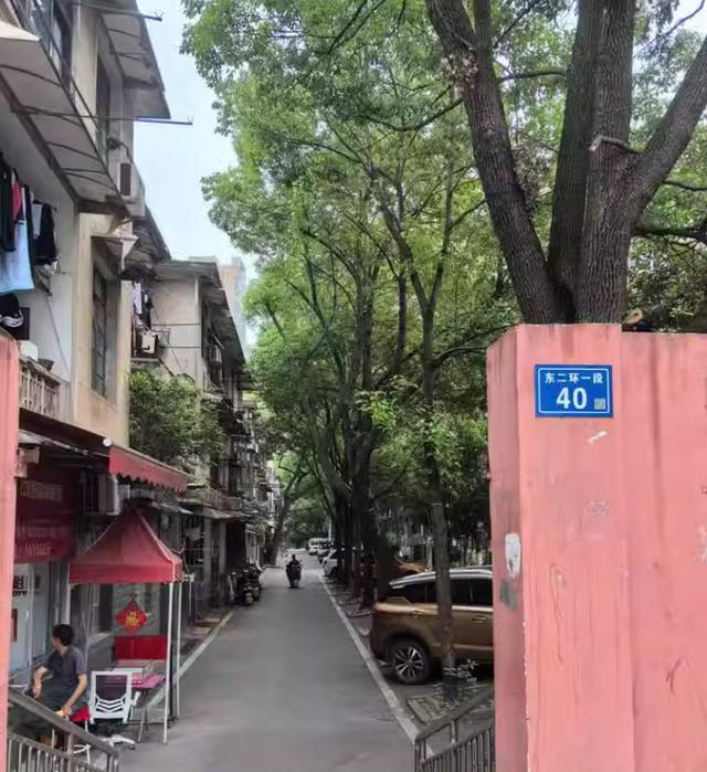 长沙法拍房数量暴增 长沙法拍房数量有多少