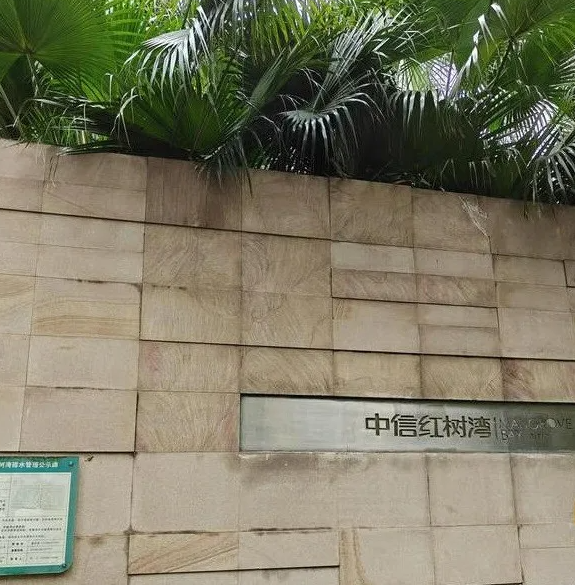 拍卖网司法拍卖房产-深圳湾畔奢华大平层,10.2万/㎡起拍!中信红树湾170㎡海景房,仅1736万!