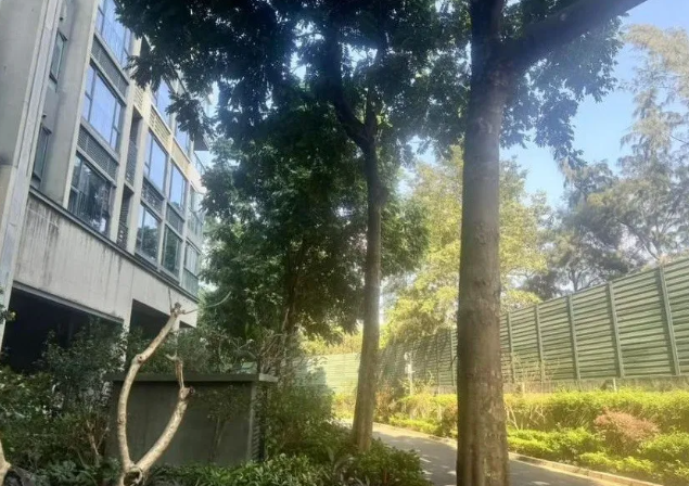 华侨城香山里一期法拍房，177㎡4房2卫花园景观房，5.7万/㎡，6折拍卖！